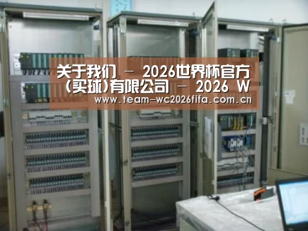 2026世界杯买球官网案例展示五