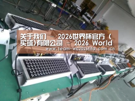 2026世界杯买球官网案例展示一